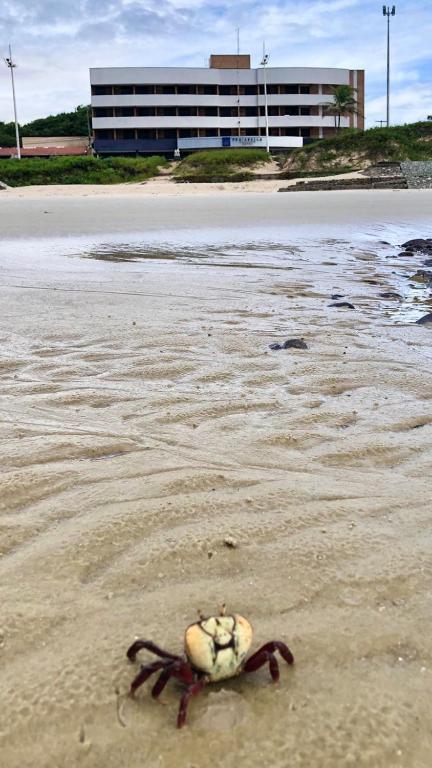Praiabella Hotel São Luís Zewnętrze zdjęcie